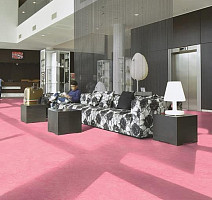 Forbo Marmoleum Decibel on Order 326835 honey suckle фото 2 | FLOORDEALER